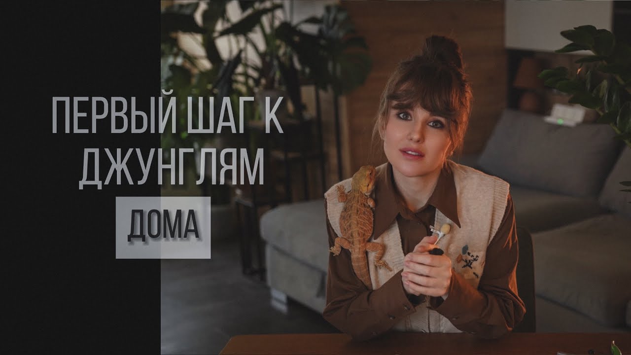 ОШИБКИ НАЧИНАЮЩИХ. ПЕРЕСАЖИВАЕМ И БОЛТАЕМ🪴 #пересадка #комнатныерастения #алоказия #монстера