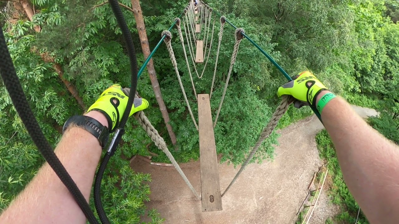 Go ape bedgebury