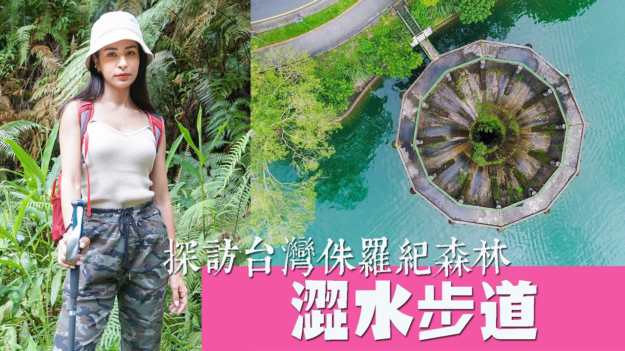 【南投】探訪台灣侏羅紀森林 澀水步道+日月潭自行車道
