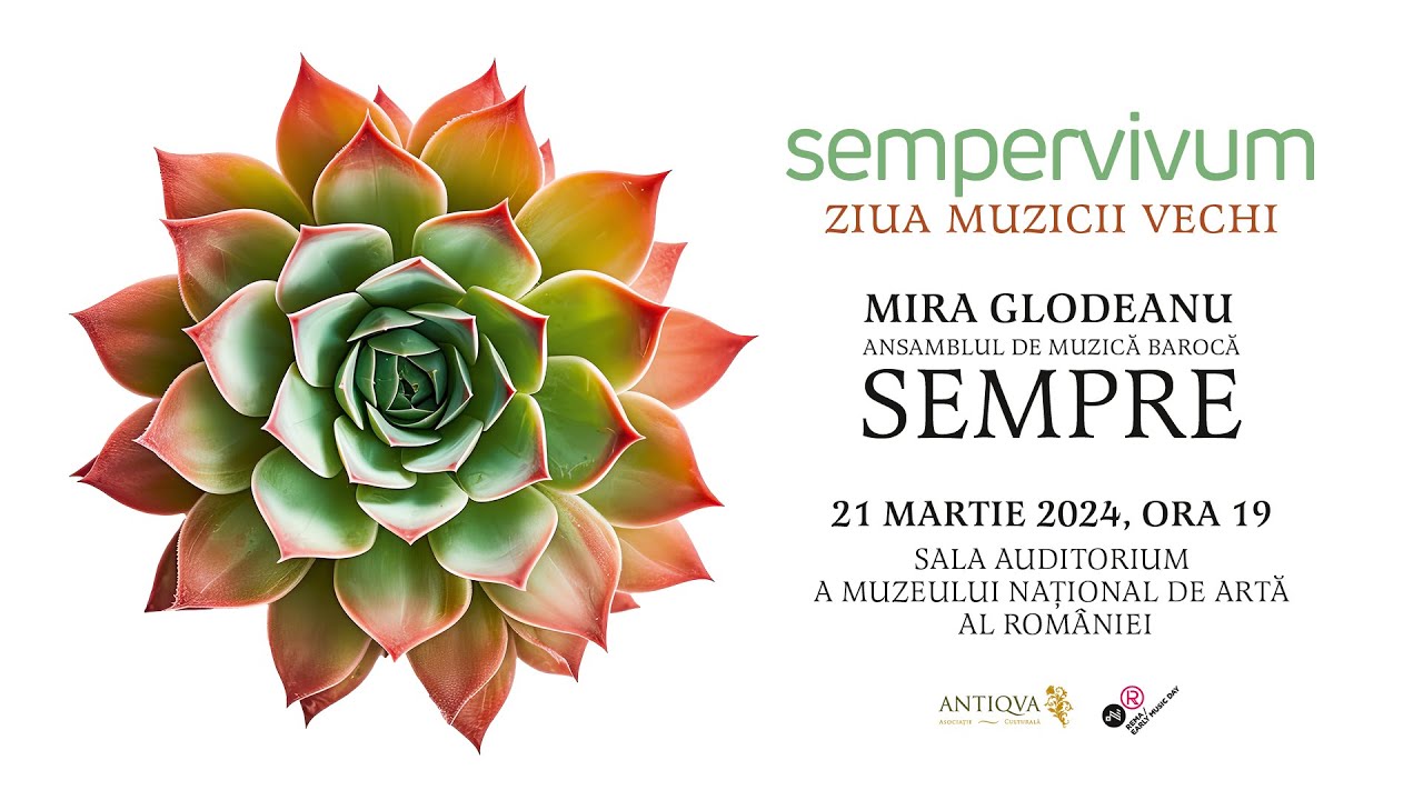 Sempervivum
