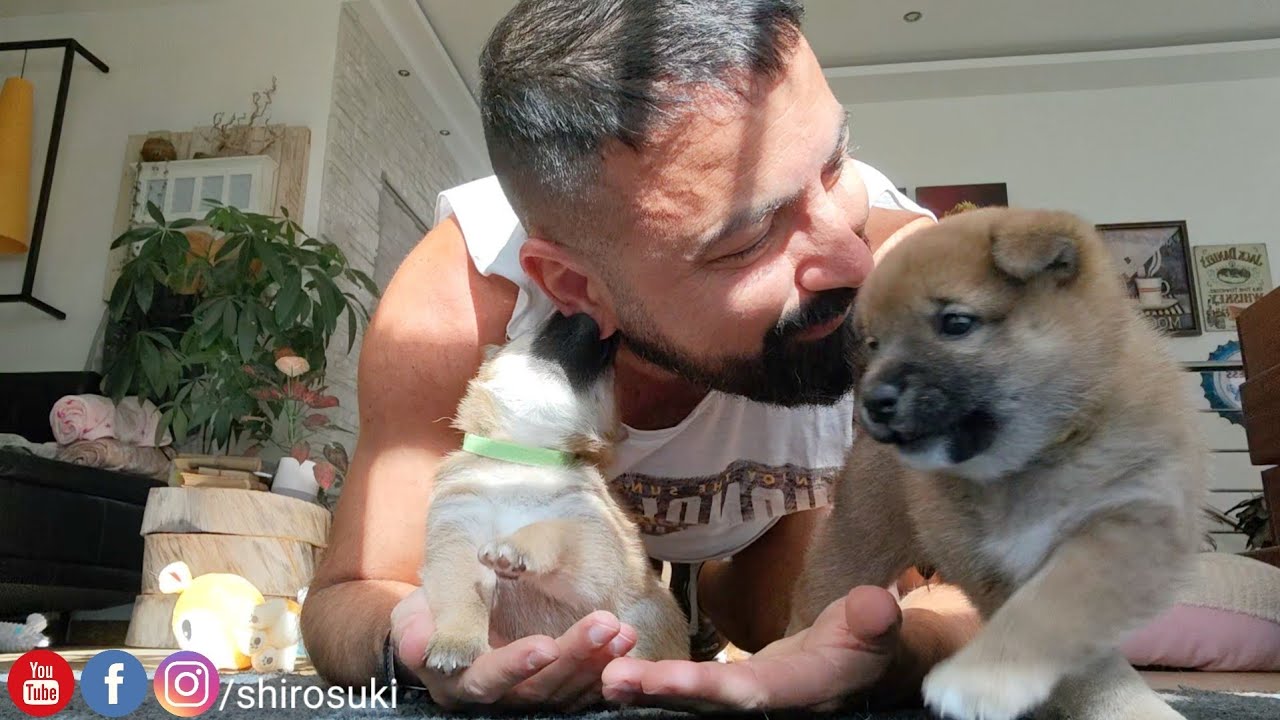 Она пытается сделать мне серьгу!