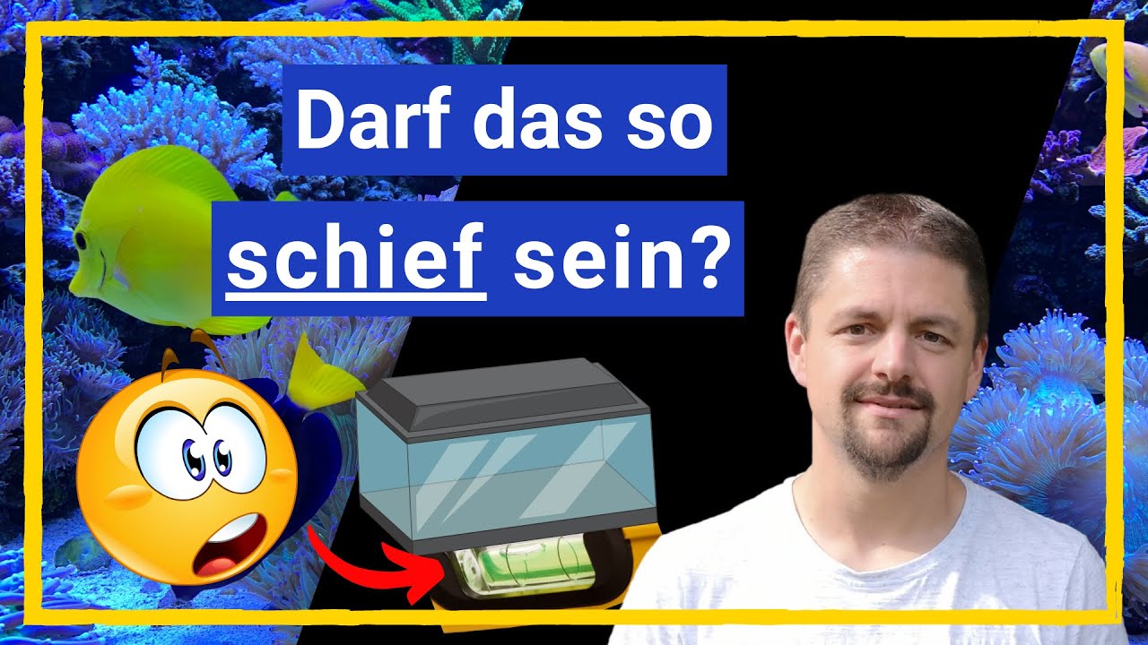 Das Meerwasseraquarium I Unterbau ausrichten
