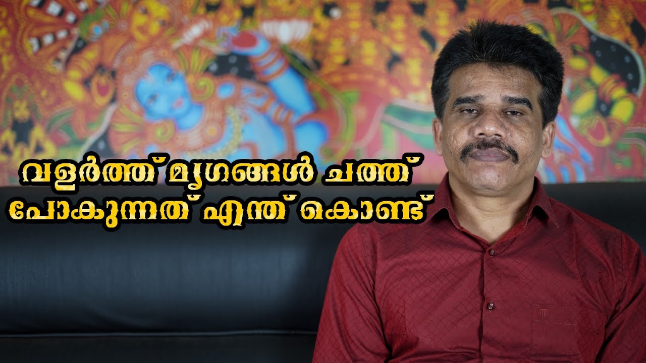 #PRANAVAM#kvsubhashthantri വളർത്ത് മൃഗങ്ങൾ ചത്ത്‌ പോകുന്നത് എന്ത്‌ കൊണ്ട്