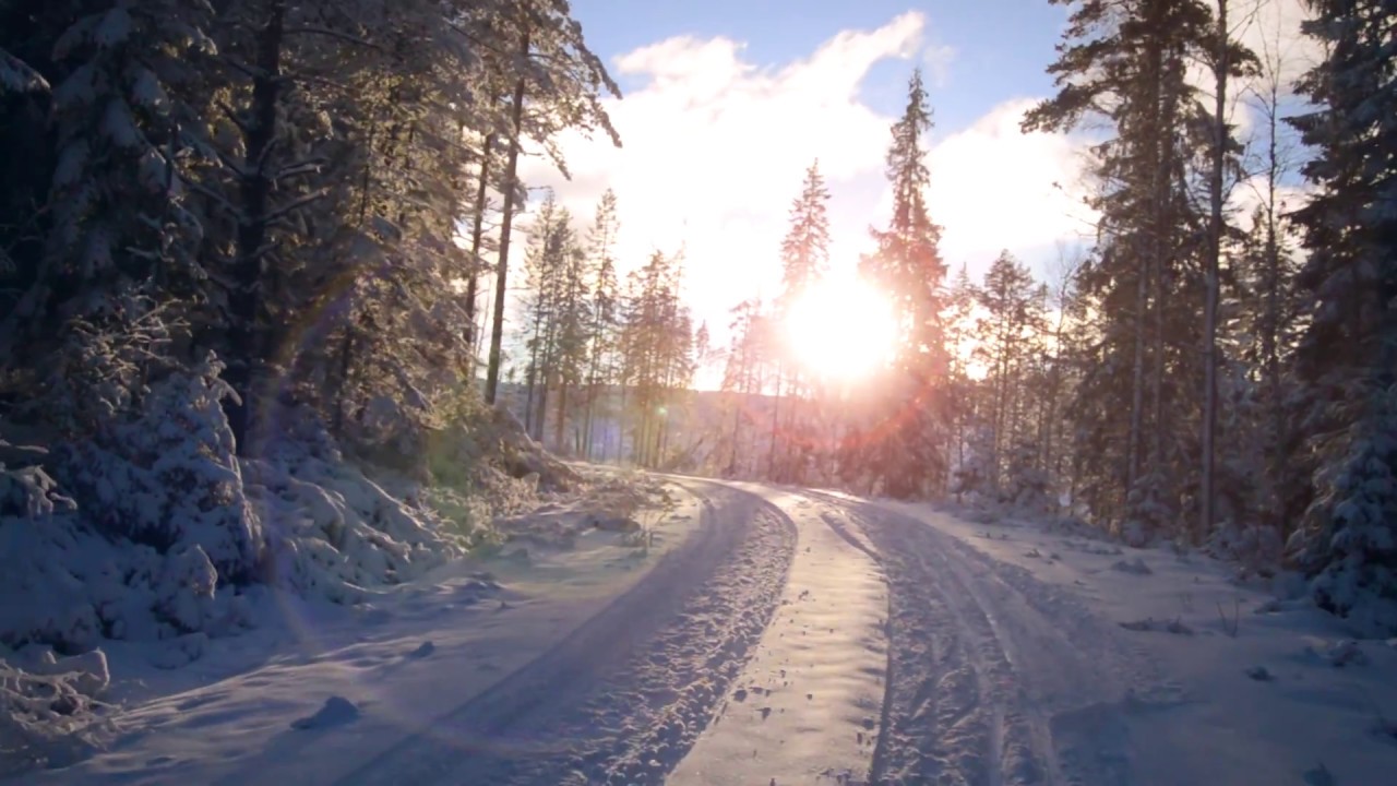 Cross-country skiing in Sweden