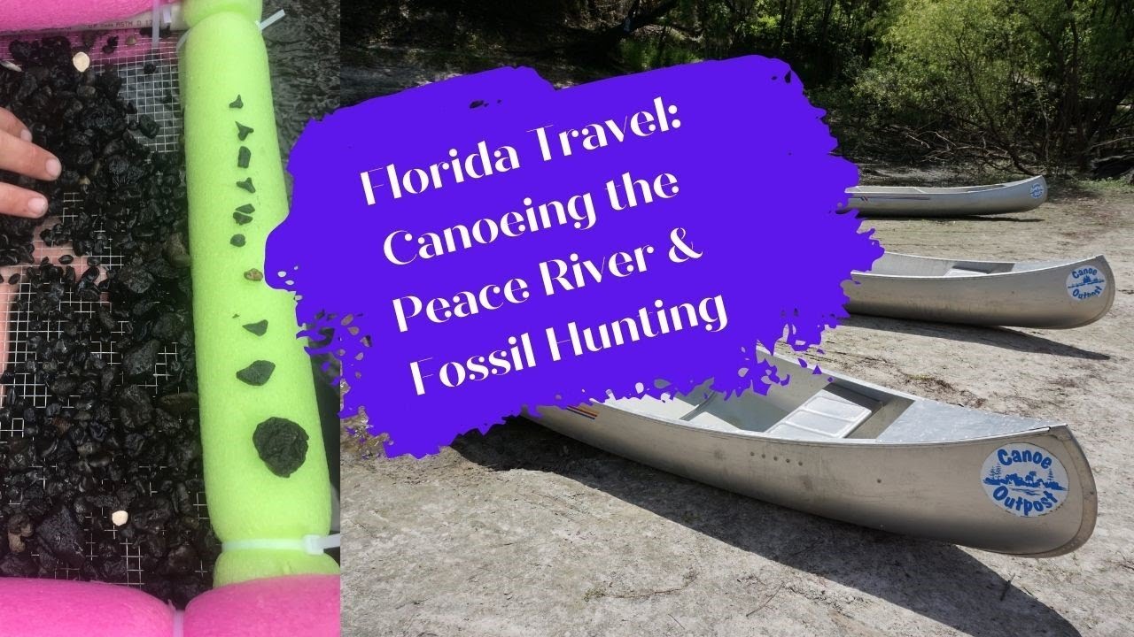 Florida Travel: Brief Video of Canoeing the Peace River and Fossil Hunting