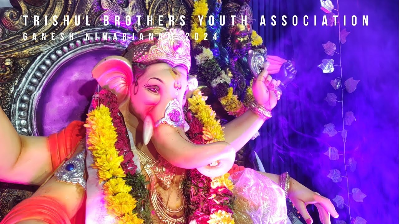 Trishul Brothers Youth Association Ganesh nimarjanam 2024 |SANATHNAGAR | HYDERABAD