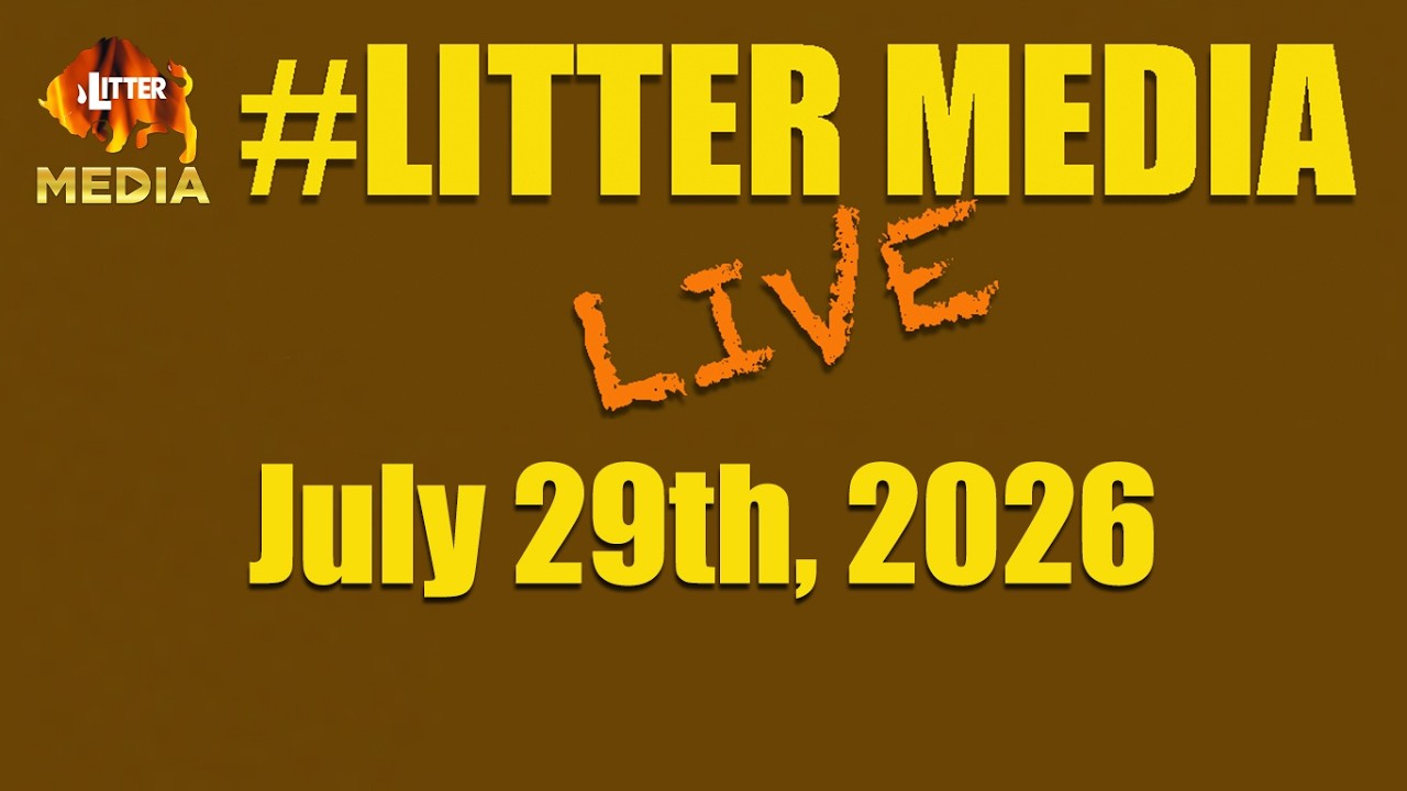 #LitterMediaLIVE за среду, 29 июля 2026 года