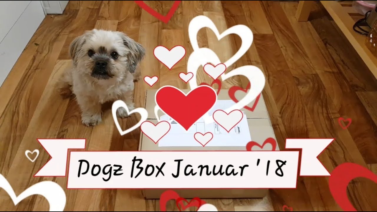 Dogz Box Januar '18 ! Schatz & ich packen aus  ! Schreckmoment  !