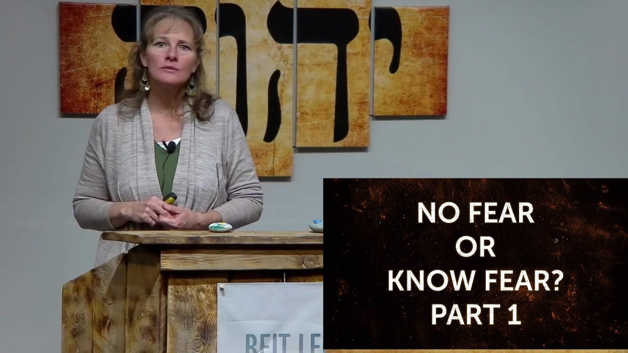 No Fear Or Know Fear Part 1