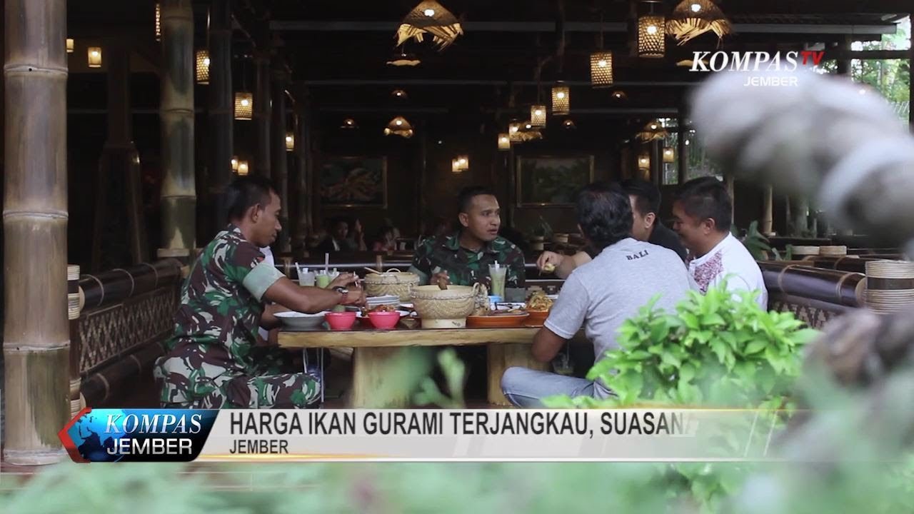 Kafe Pedesaan Sajikan Ikan Gurami Aneka Rasa