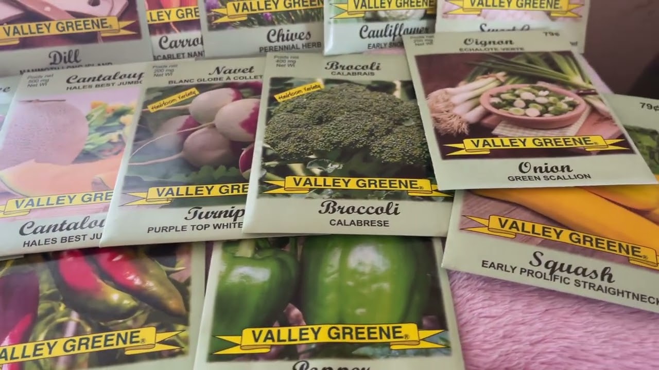 Seed haul gift 
