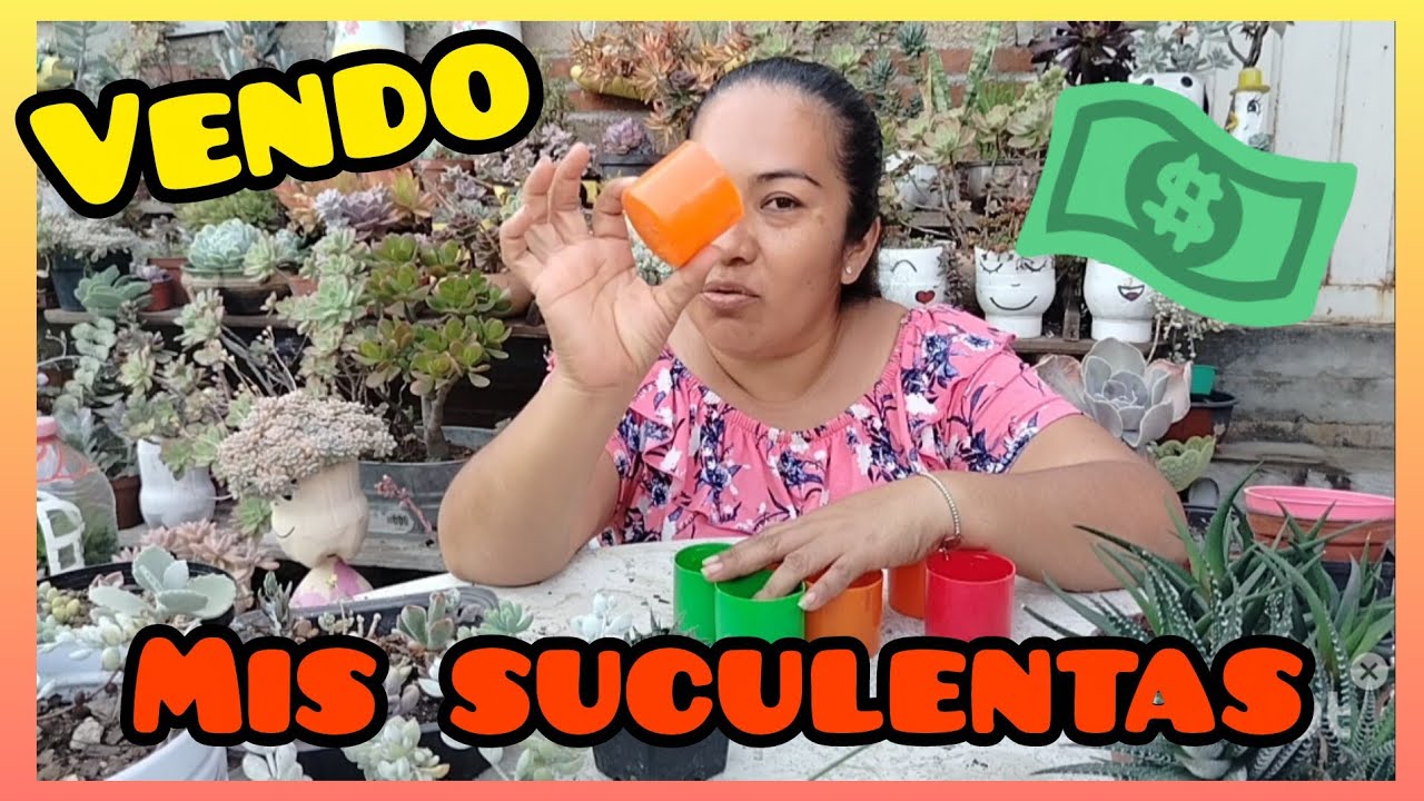 Como vender mis suculentas DINERO EXTRA #plantas #eljardindeanais  
