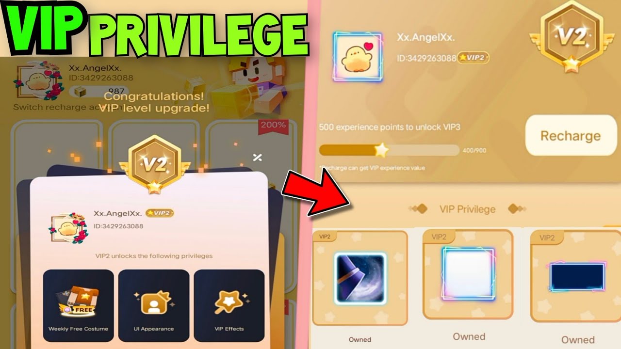 Как получить *VIP-привилегию* в Blockman Go!