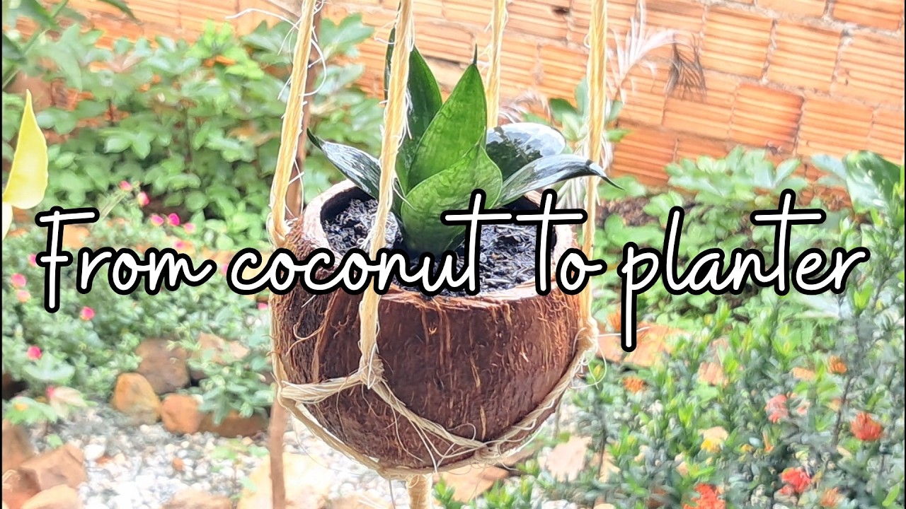 Rainy Morning + Coconut DIY Planter 🌧️🌿 Relaxing Garden Craft & Plant Care