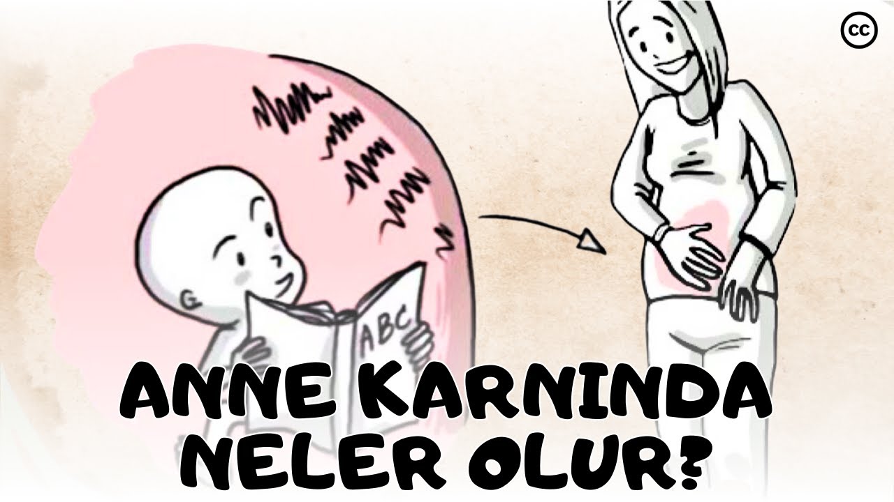 Anne Karnında Yaşadıklarımız | Doğum Öncesi Gelişim