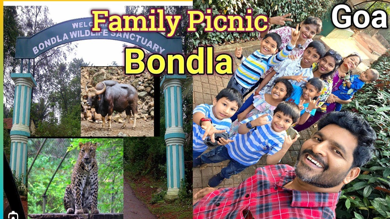 A Beautiful Family Picnic at Bondla Wildlife Sanctuary | Goa Vlog❤️#viral #viralvideo 