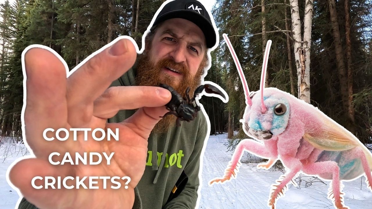 I Ate  EVERY bug from AMAZON!