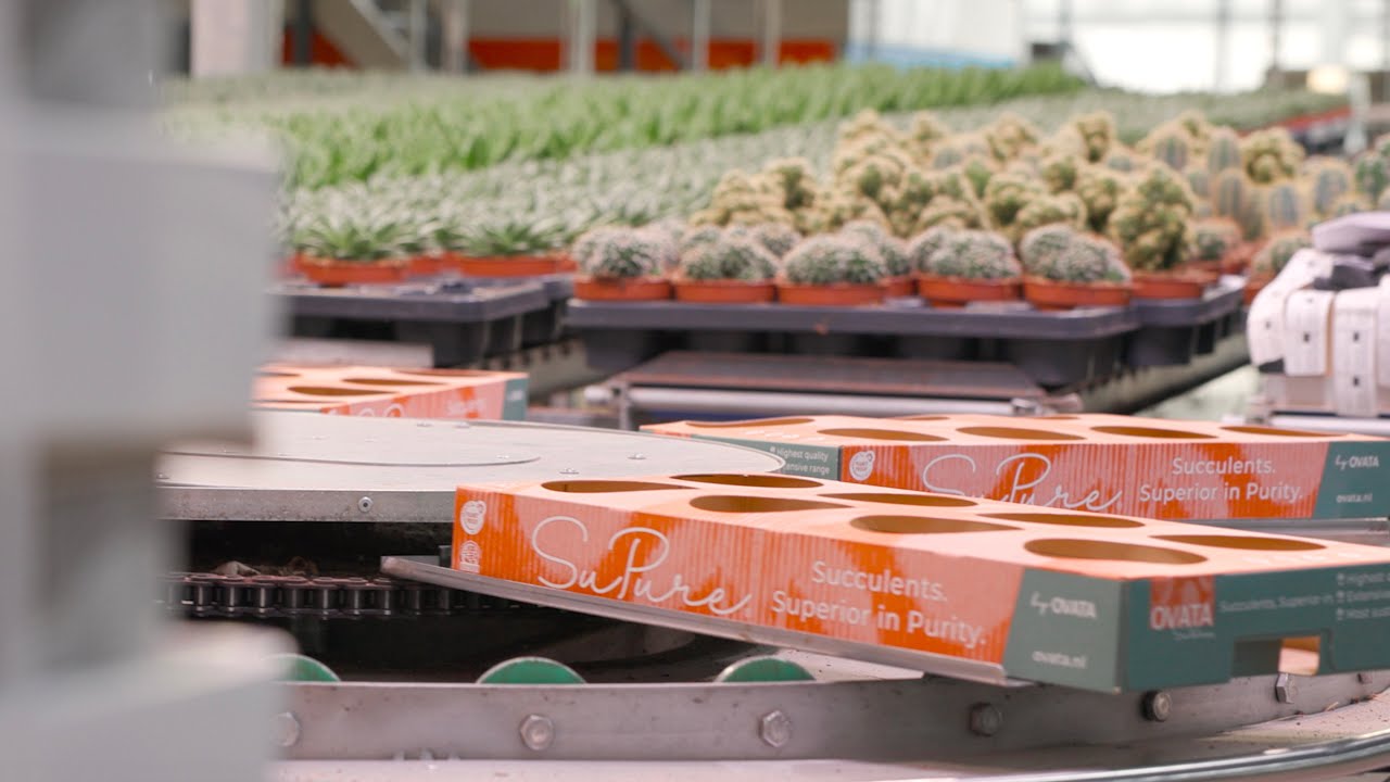 Solidus & OVATA: Trays voor plantenpotten voor een groenere toekomst - NL