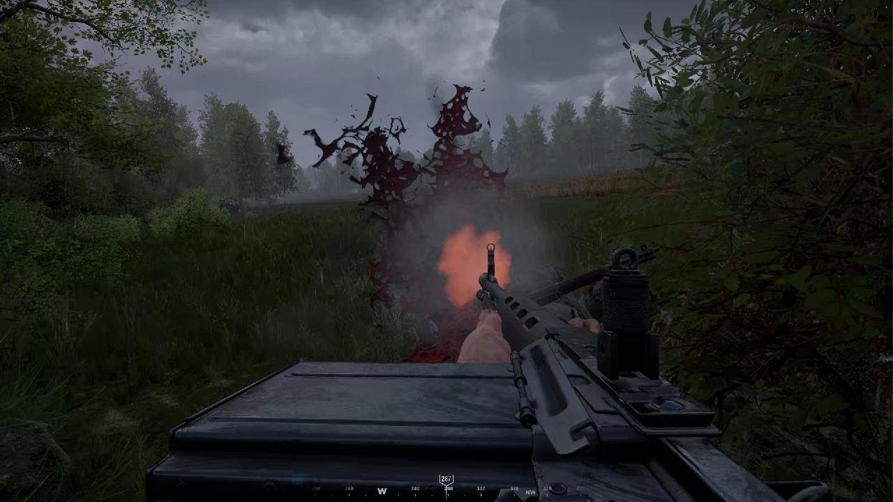 Nice FG42 Killstreak