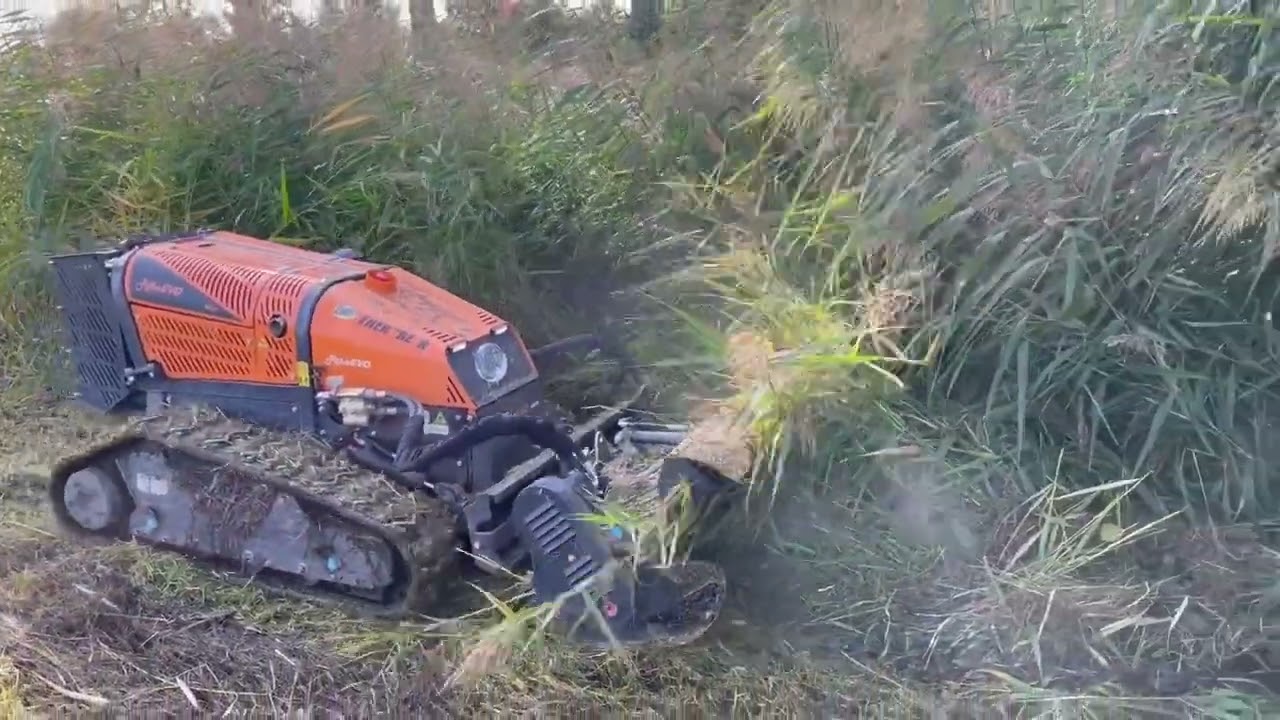 RoboEvo vyhrává v mulčovacím boji