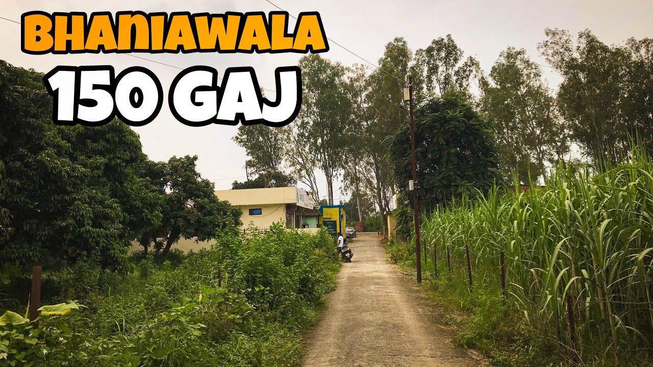 Plot For Sale | Bhaniawala Dehradun | Avyay Bahuguna Properties 