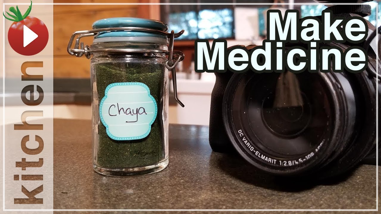 How To Make Chaya Powder - Why is it Medicine?