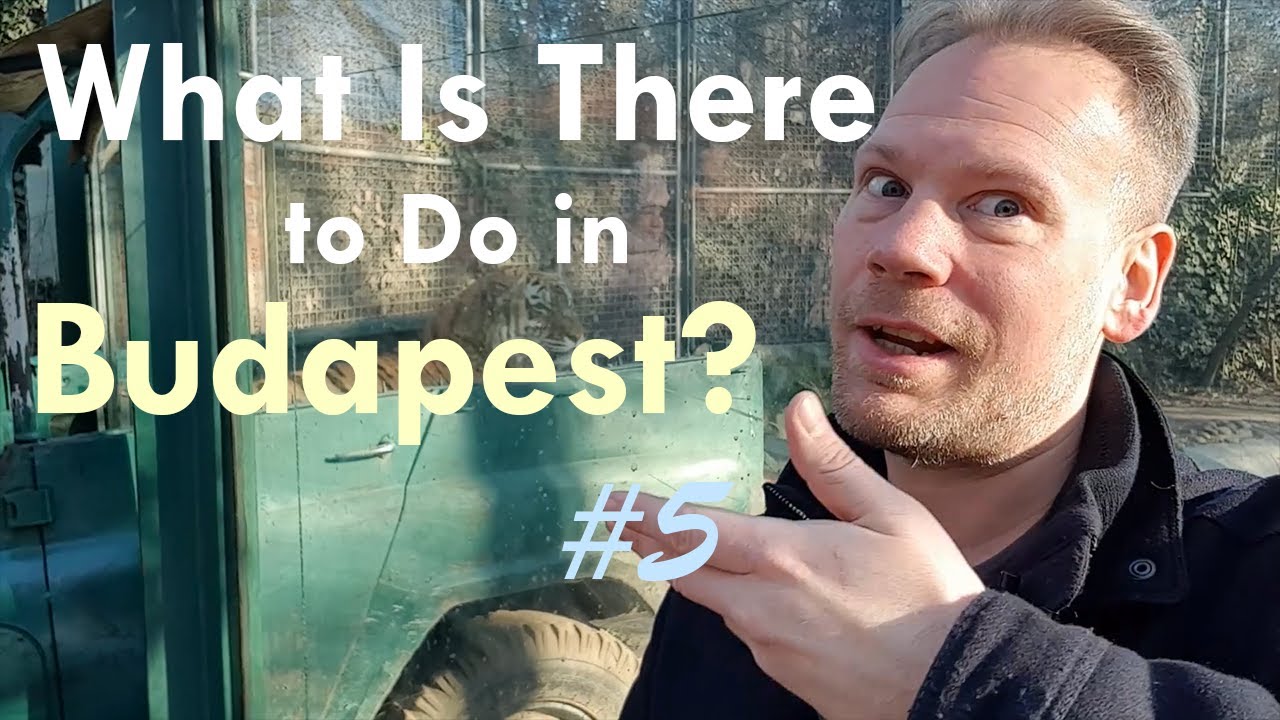 Budapest Vlog #5 | Budapest Zoo, Beer Spa, Szechenyi Baths