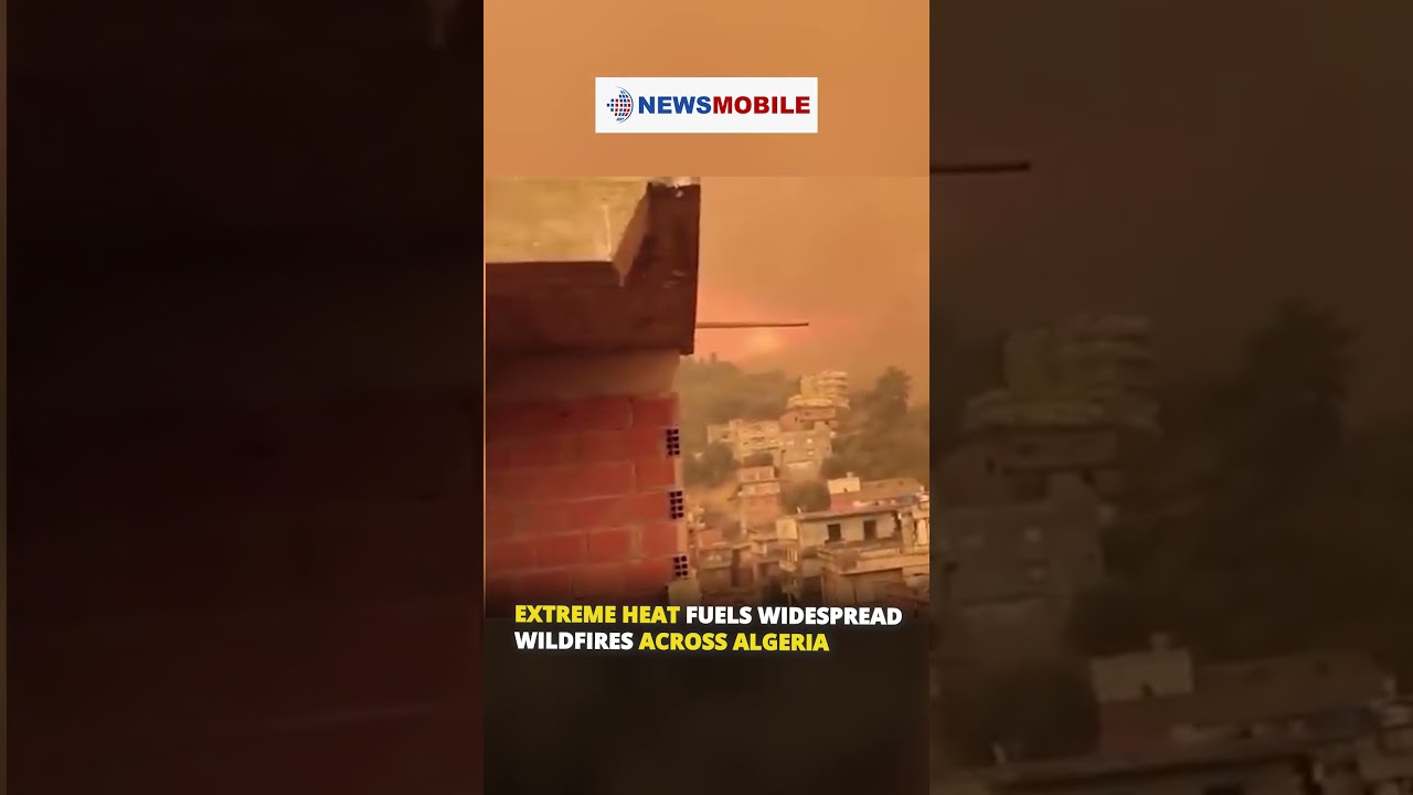 Extreme Heat Fuels Widespread Wildfires Across Algeria