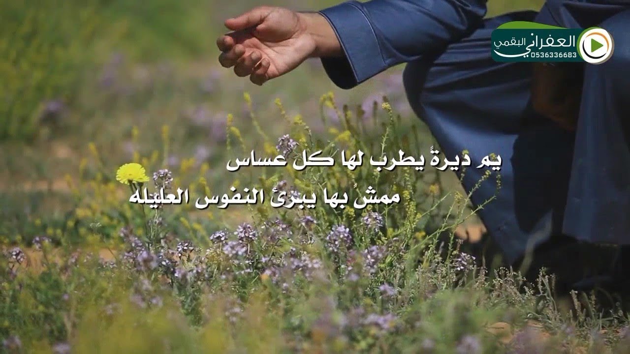 شيلة عزي لمن حده زمانه على الناس جات على ذوق العفراني  كلمات صهد البقمي اداء عبدالعزيز المخلفي