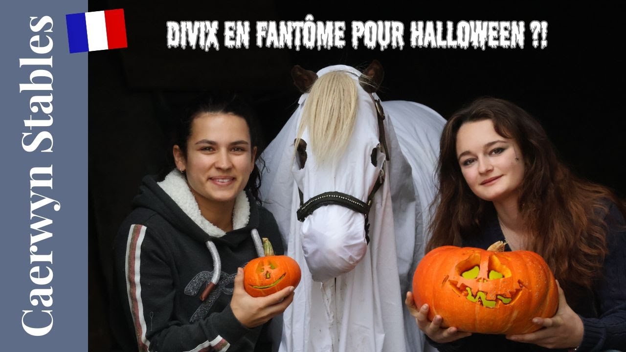 👻 Déguiser mon cheval pour Halloween 🎃 Caerwyn Stables 🇬🇧​ Version français 🎃