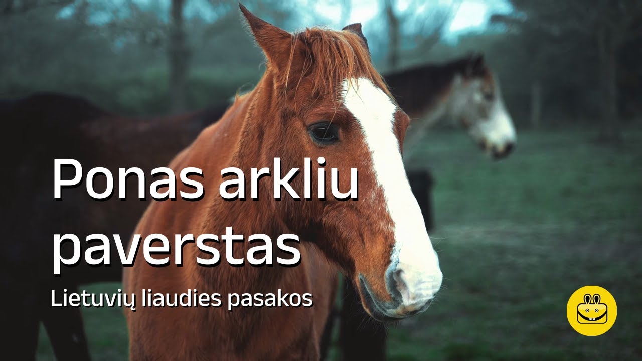 Ponas arkliu paverstas - Audio pasaka