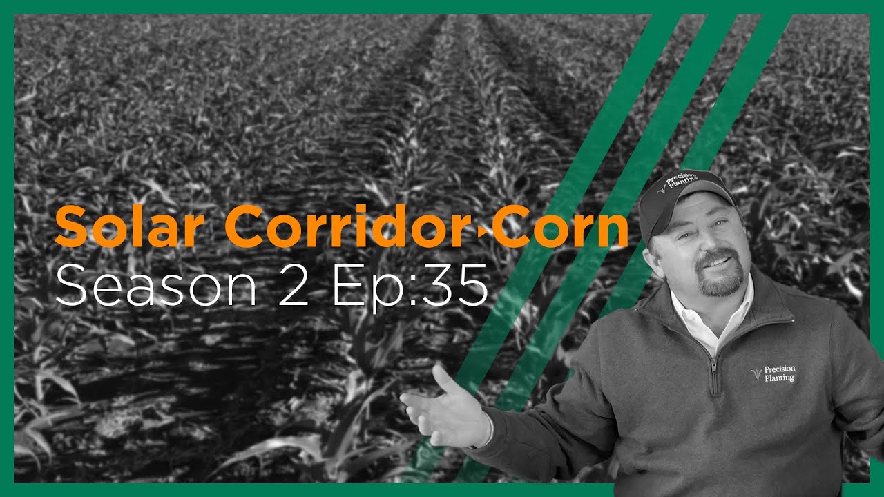 InsidePTI S2•E35 | Solar Corridor ‣ Corn