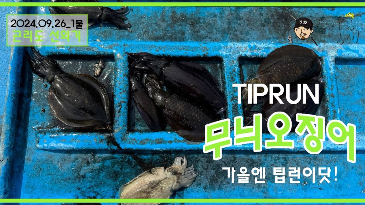 가을엔 무늬오징어 팁런 낚시닷!