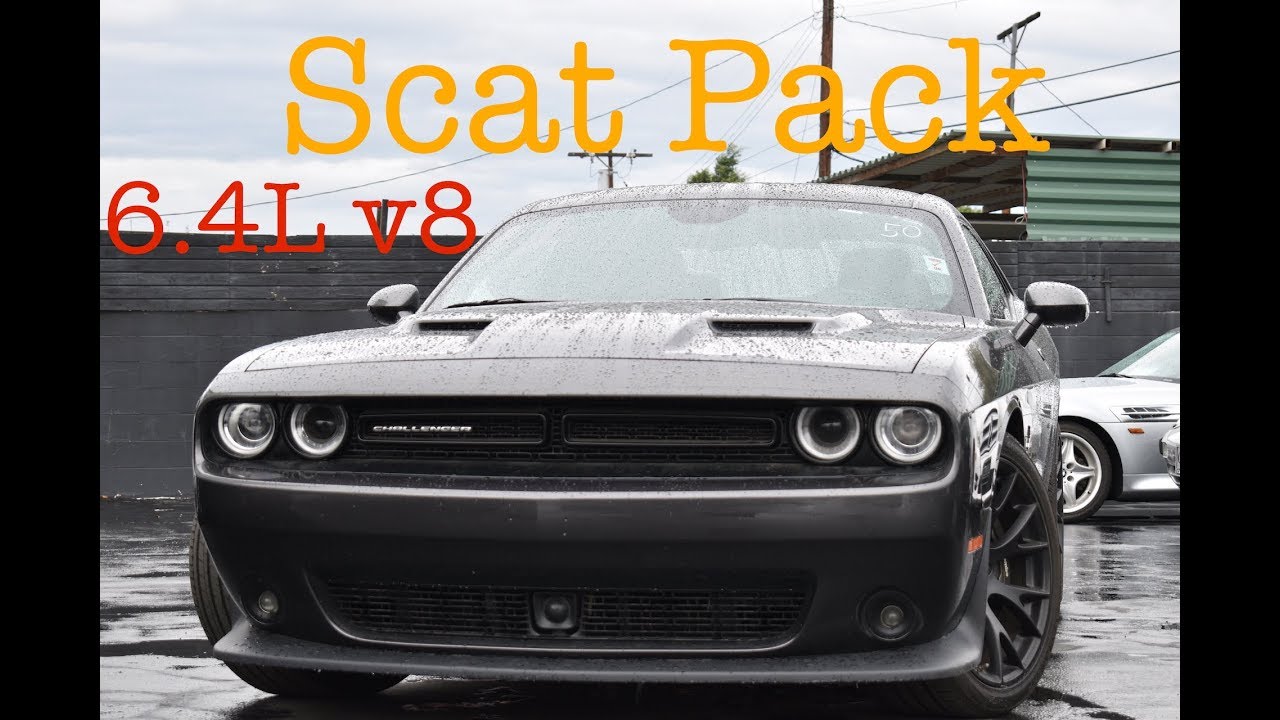 🇺🇸 DODGE CHALLENGER Scatpack !  Тест драйв что может 6.4L V8?