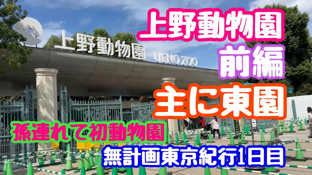 2024年10月7日 上野動物園散策 前編 東園 無計画東京紀行1日目 孫連れて初動物園