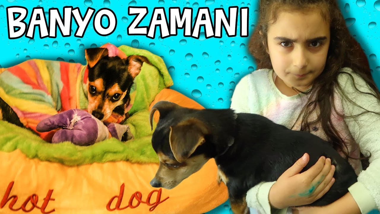 MİRA 'NIN KÖPEĞİ JUNIOR BANYO ZAMANI | Umikids Köpek Videoları