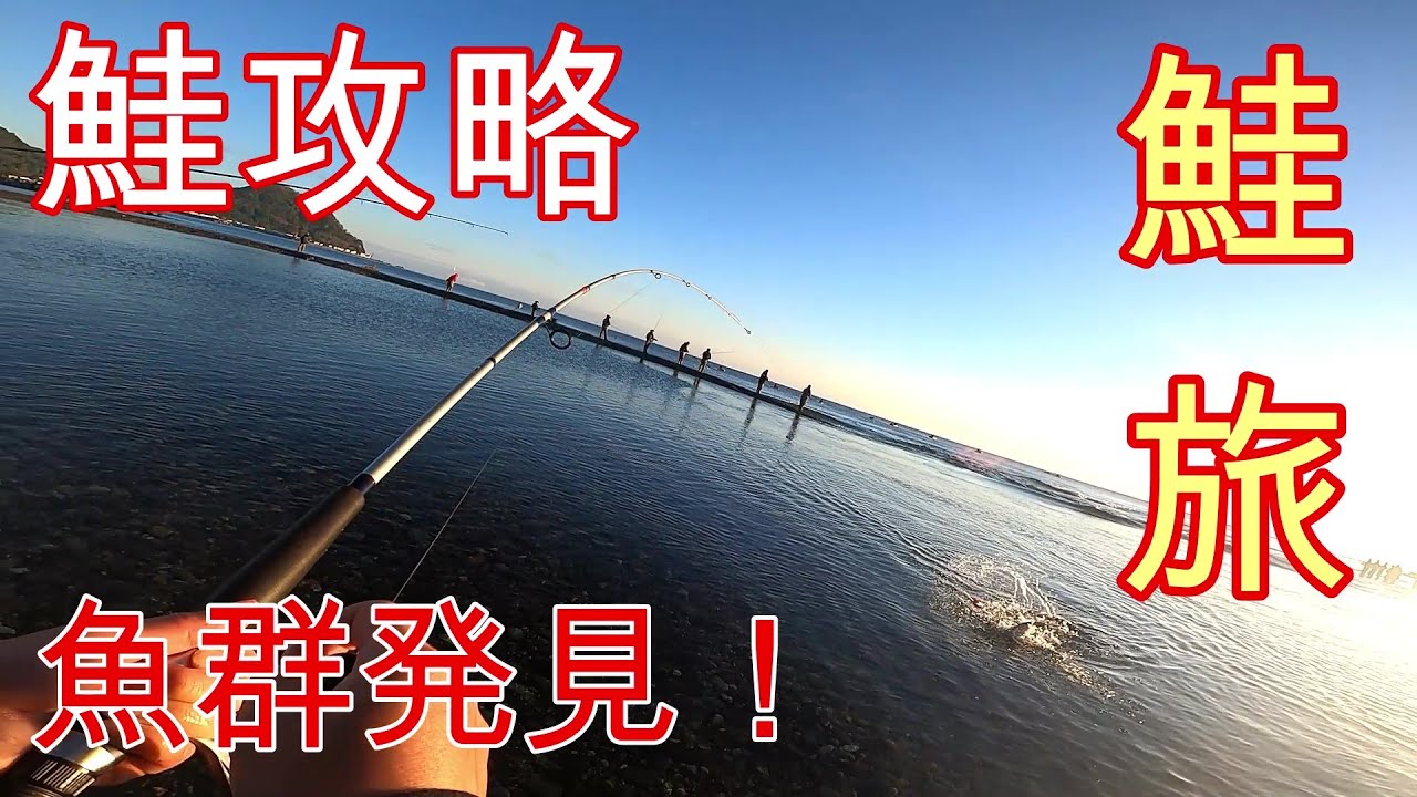 【鮭釣り】伊達・古平でサケ調査！ヒットルアーを発見したよ！