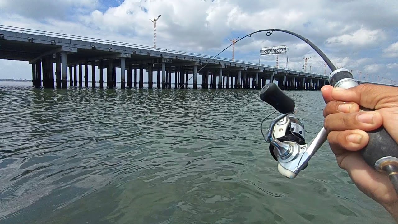 Segampang ini mancing..!! Dalam sekejap sudah dapat banyak