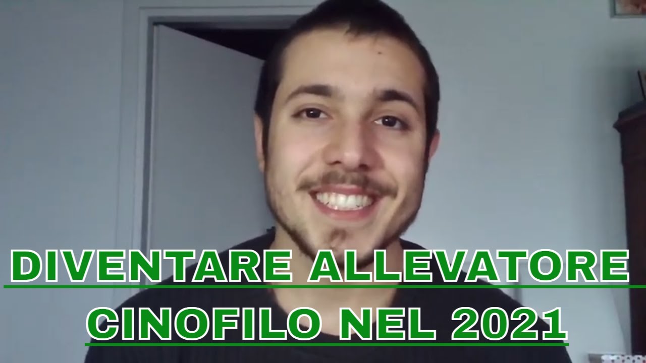 COME DIVENTARE ALLEVATORE CINOFILO NEL 2021 | E' MEGLIO DA AUTODIDATTA O FARE CORSI DI FORMAZIONE?