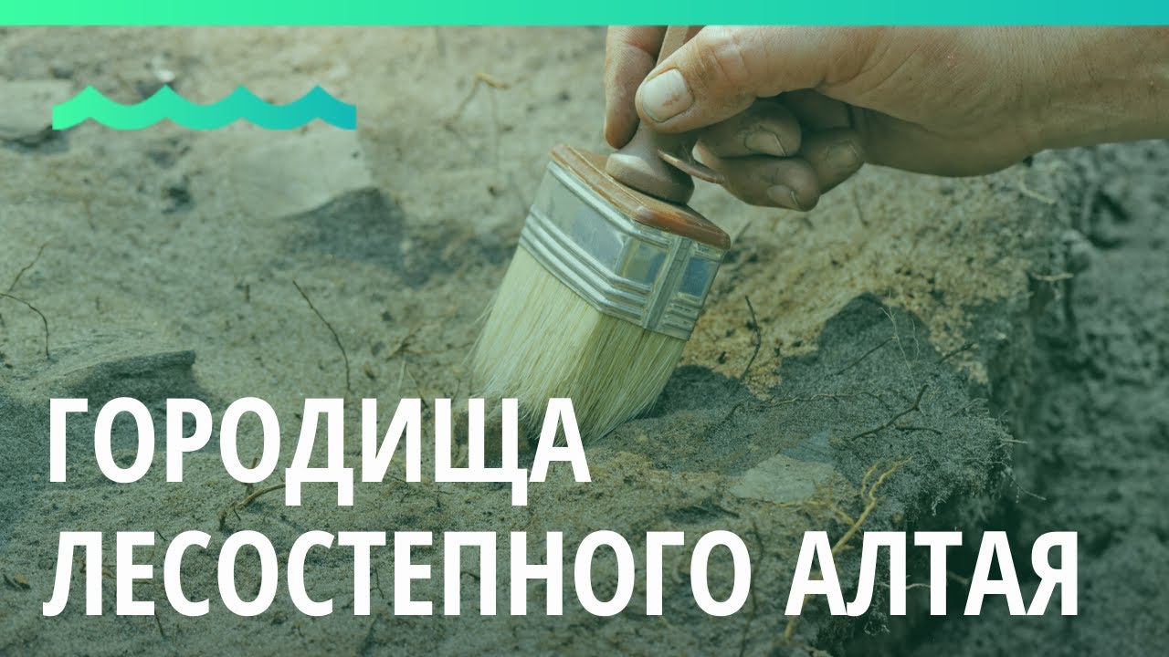 Археологи впервые изучают городища Лесостепного Алтая