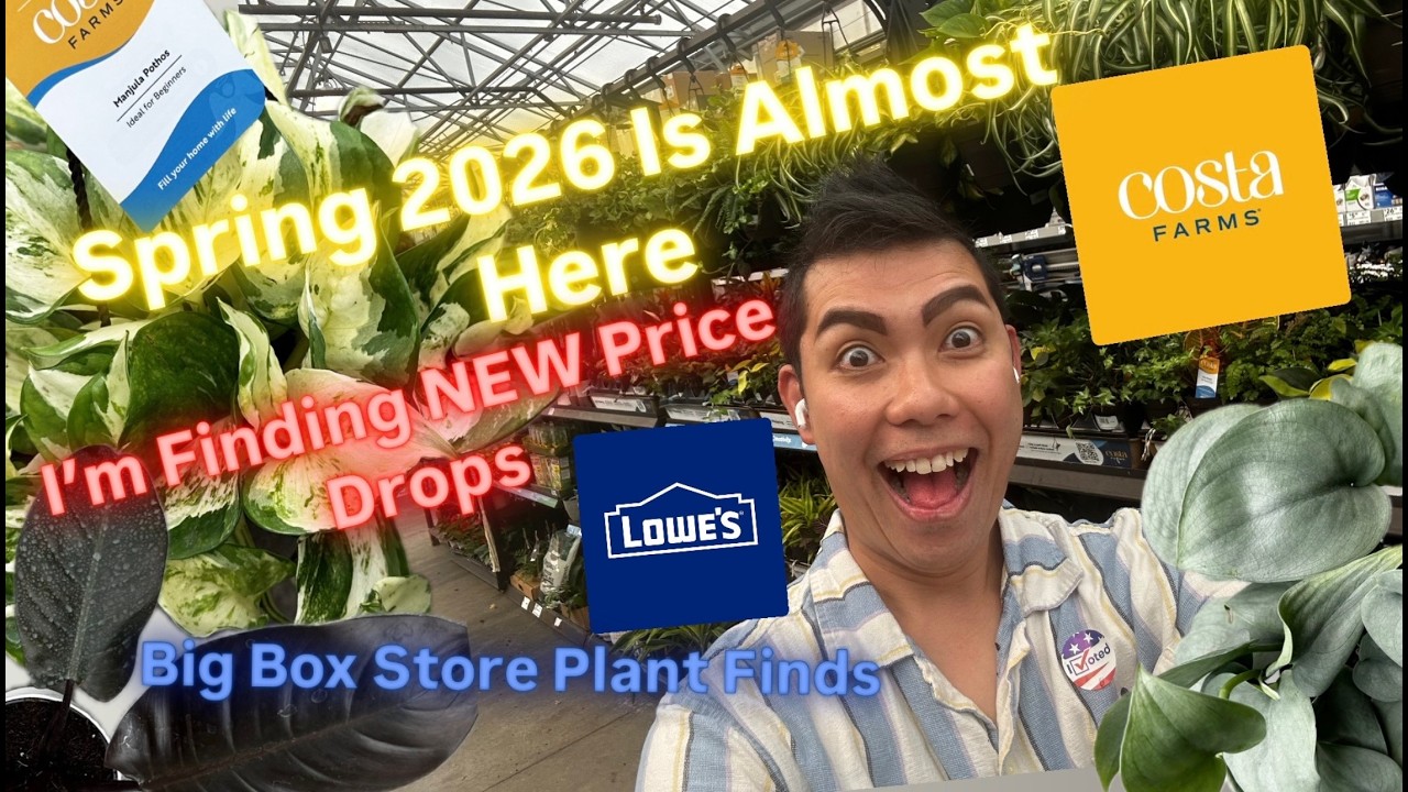 New Rare Plants Price Drops for Spring 2026 Big Box Store Lowe's Finds