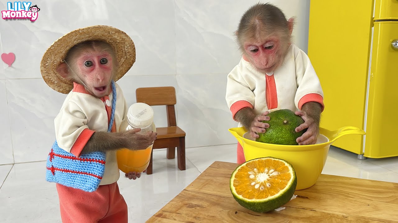 Smart Lily makes delicious orange juice for dad