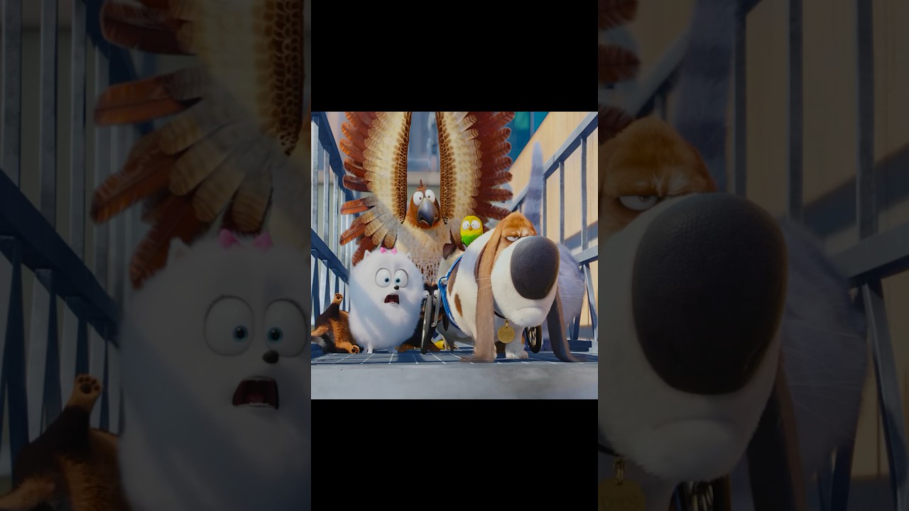 This secret passage will scare the living daylights out of a lo of animals #shorts #movie #pet
