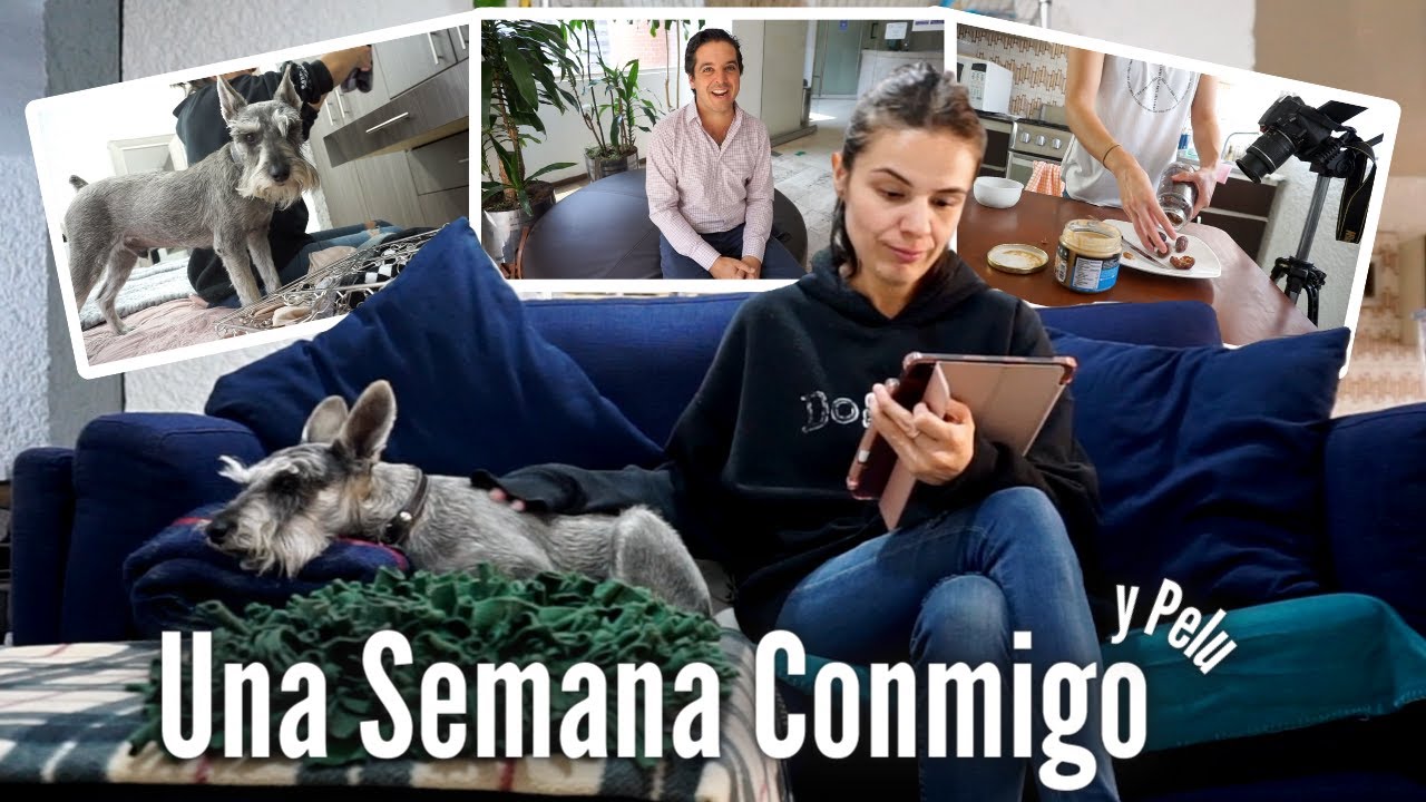 Una semana conmigo y Pelu 💕🐶🪴