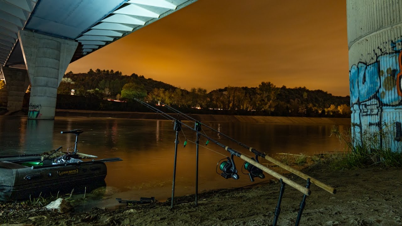 Un week end en rivière ~ Pêche de la carpe ~ Carpe Style