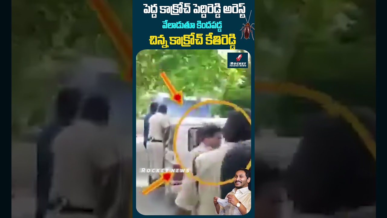 పెద్దిరెడ్డి అరెస్ట్.. జీపు పట్టుకొని వేలాడుతూ కిందపడ్డ కేతిరెడ్డి | Kethireddy Pedda Reddy Arrest