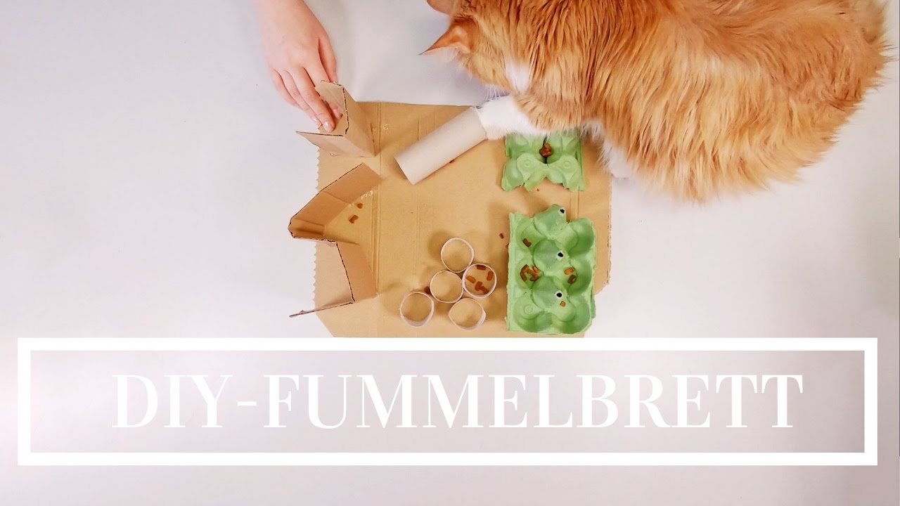 DIY Fummelbrett für Katzen - Beschäftigung nur aus Altpapier