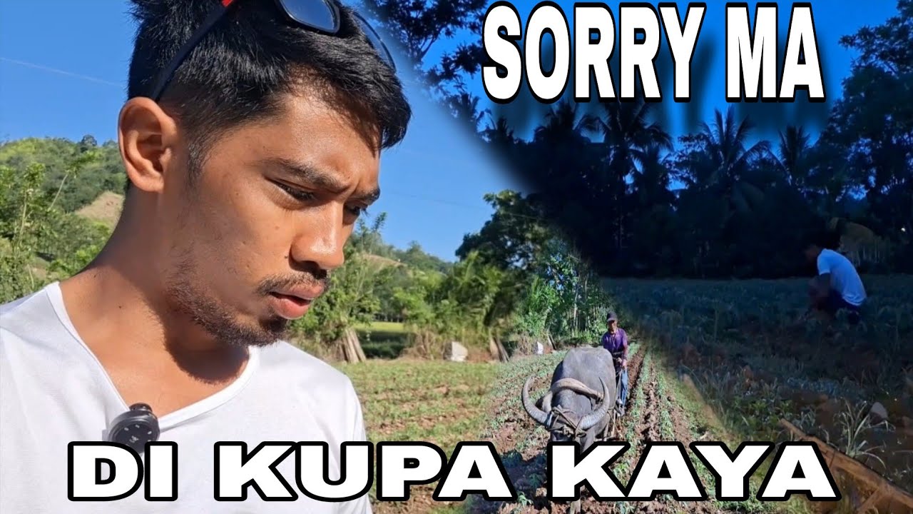 Angtataba Na Ng Ating Kamatis! At Ang Linis Na! 