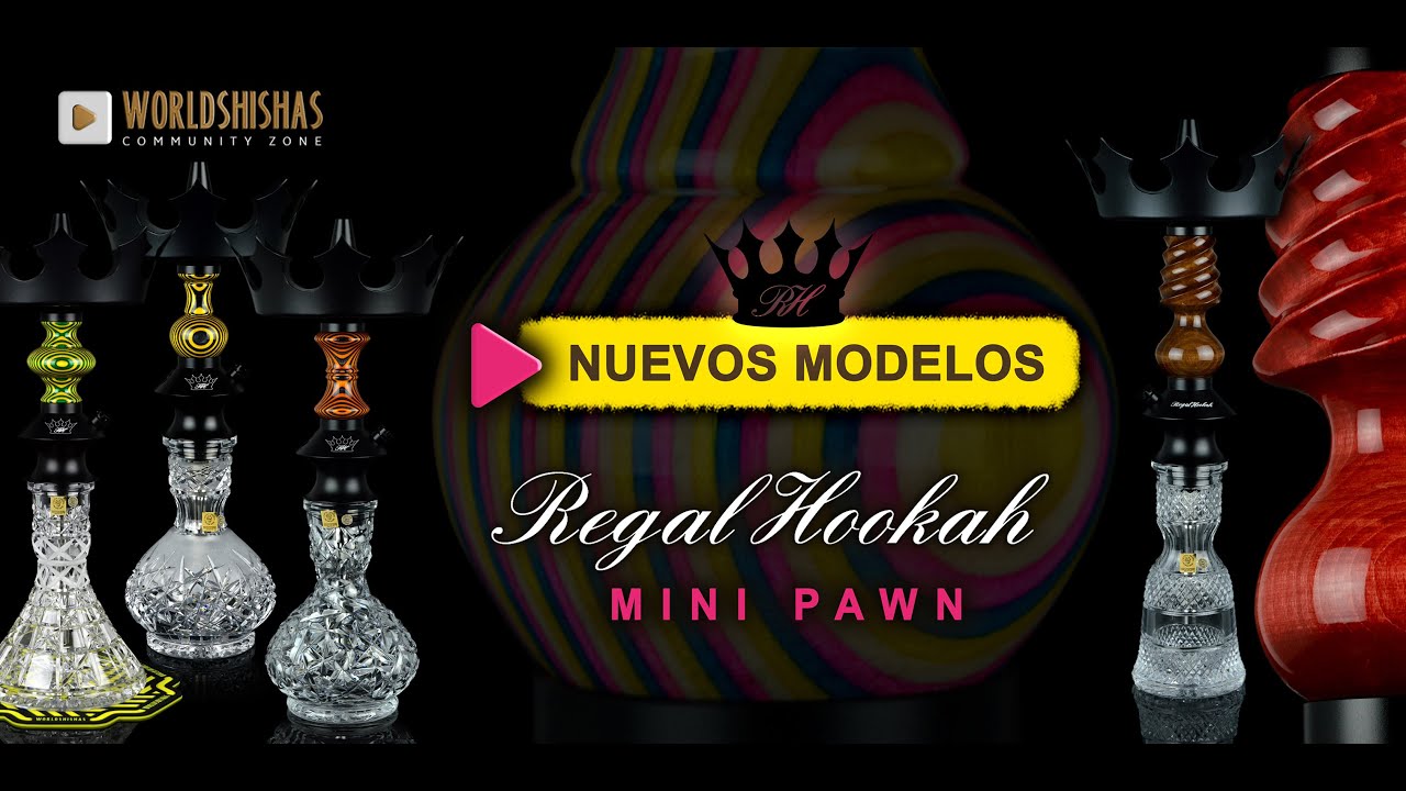 CAHIMBAS REGAL HOOKAH | Nuevos modelos Mini Pawn | Las reinas de la corona 👑