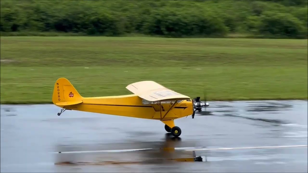 Balsa USA 1/3 Scale Cub - 12 ft span